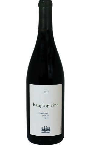 HANGING VINE PINOT NOIR
